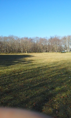 c0173813_22271345.jpg