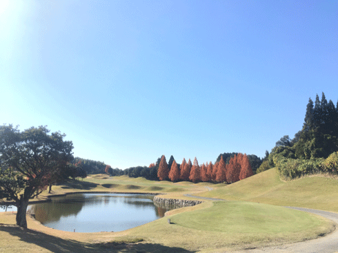 a0329414_17014043.gif