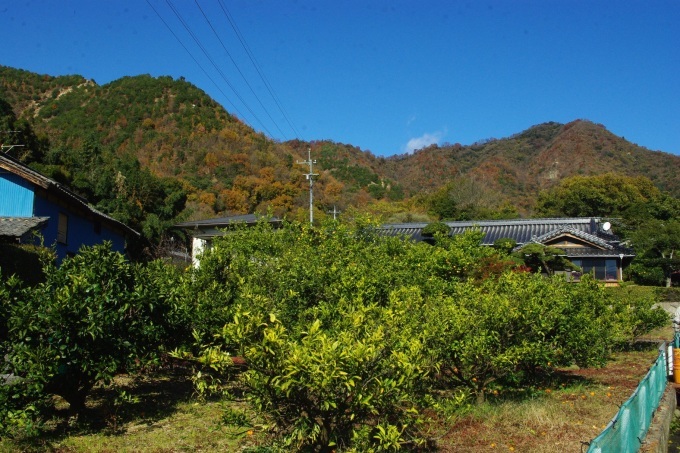 d0341514_21061484.jpg