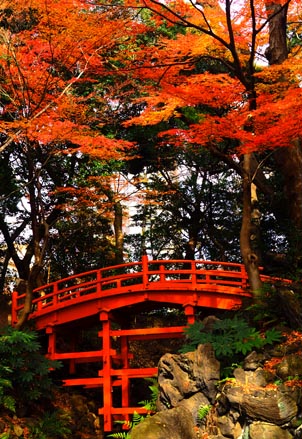 紅葉の錦　（12月12日　小石川後楽園）_a0023315_145350.jpg