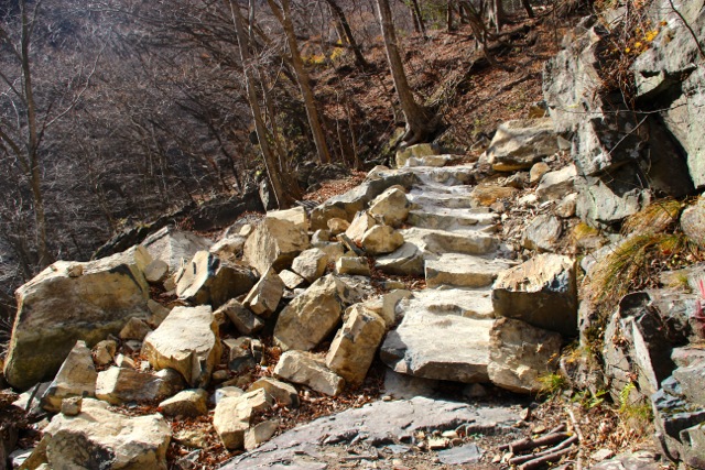 f0217617_11373332.jpg