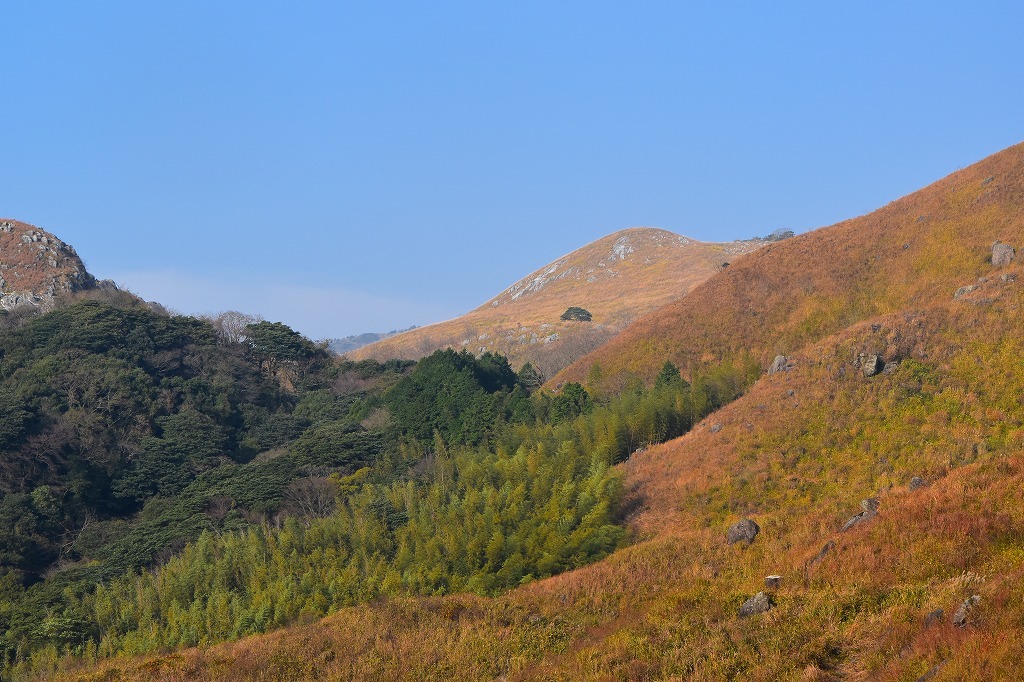f0174419_22472991.jpg