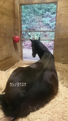 b0187620_16500515.jpg