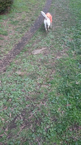 b0339522_13215159.jpg