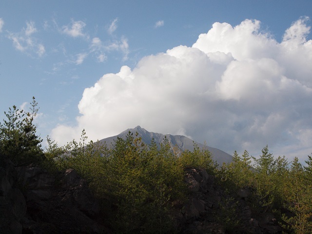 e0303726_13235087.jpg