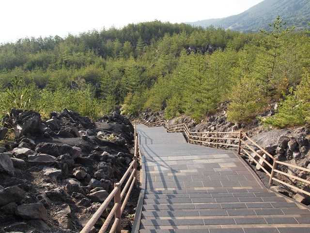 e0303726_13242701.jpg