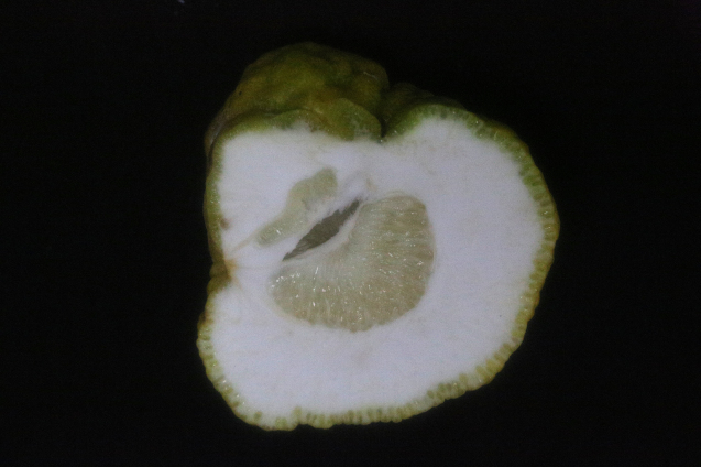 c0104227_23174375.jpg
