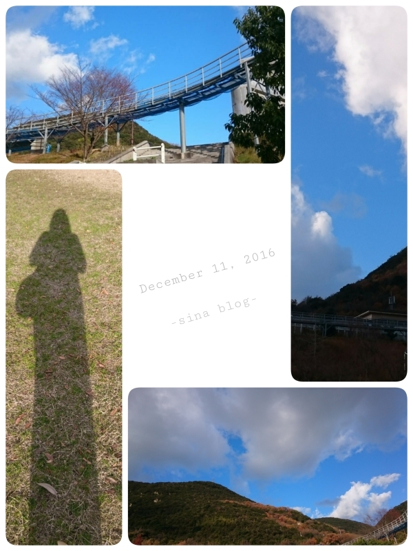 f0371629_11385235.jpg