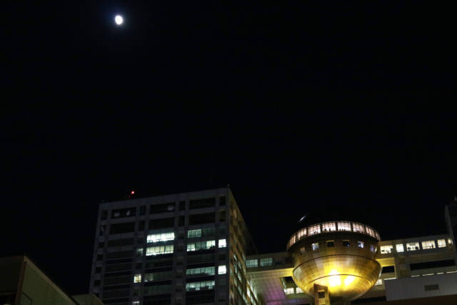 f0348831_21453739.jpg