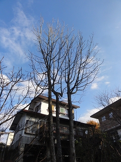 c0147935_20345229.jpg