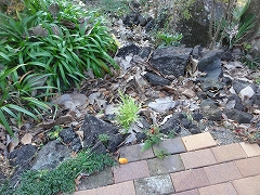 c0147935_20404779.jpg