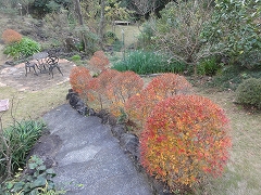 c0147935_20523934.jpg