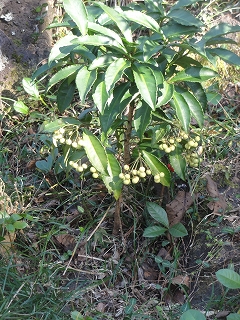 c0147935_21103210.jpg