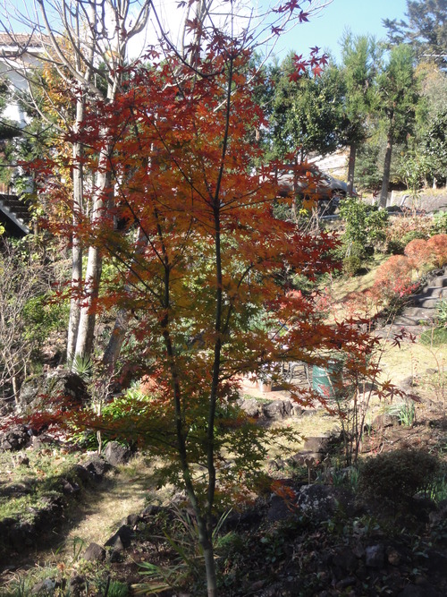 c0147935_21155471.jpg