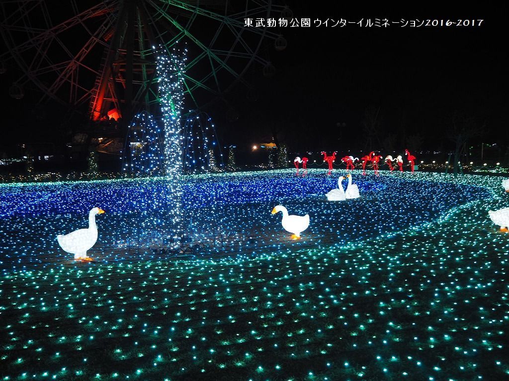 東武動物公園イルミネ－ションの様子！！！！_e0052135_20363071.jpg