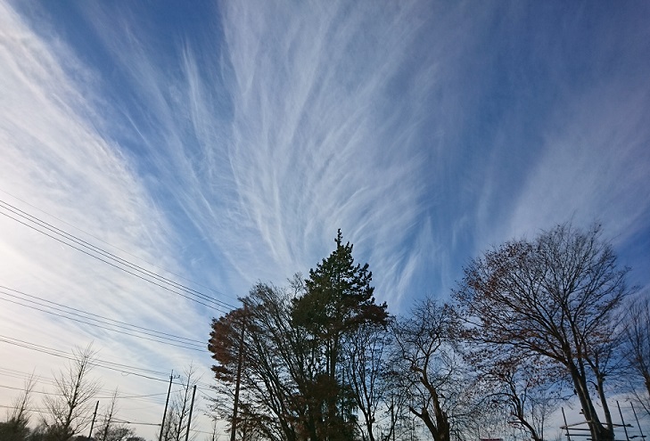 冬の空_f0087347_12281912.jpg