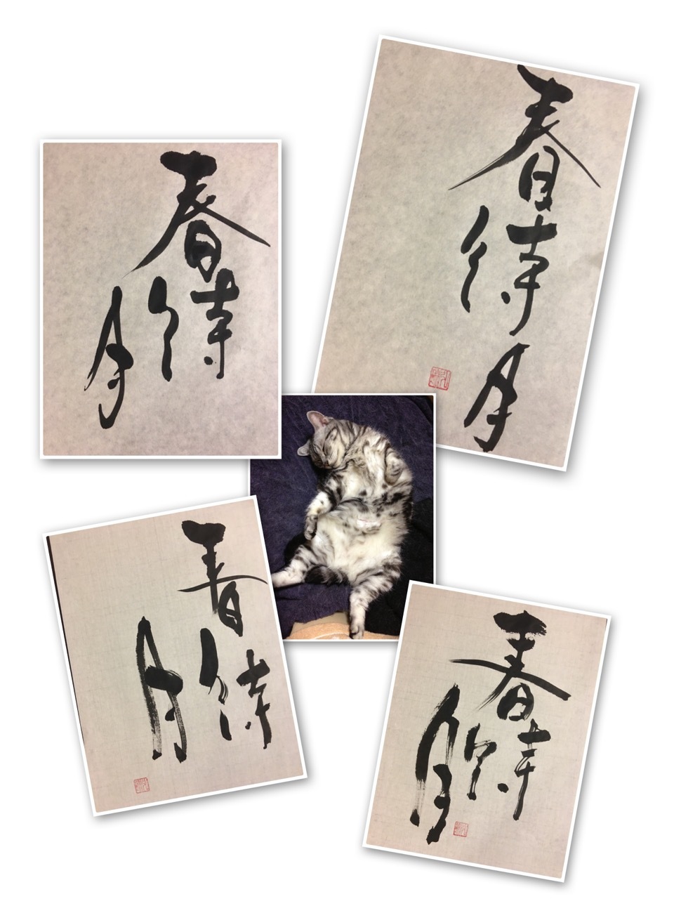 春待月の半ばに 12月の異称の一つ 春待月 書家korinの墨遊びな日々ー書いたり描いたり 春待月の半ばに 12月の異称の一つ 春待月 書家korinの墨遊びな日々ー書いたり描いたり