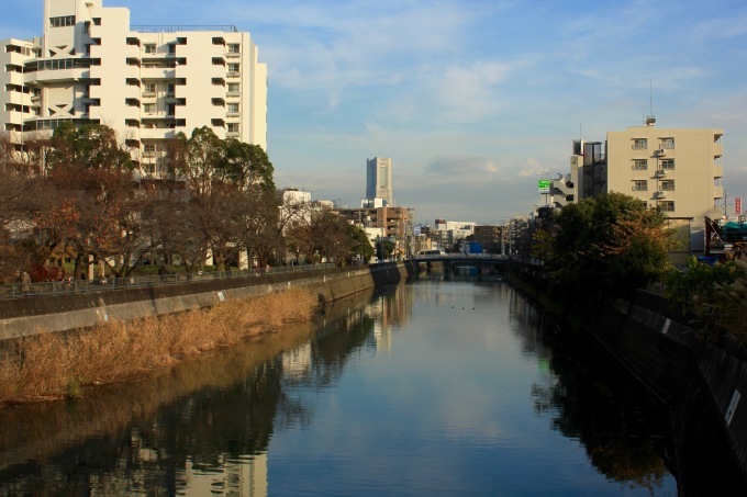 a0248459_15184262.jpg