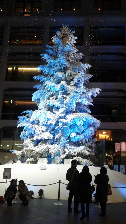 d0062076_1352757.jpg