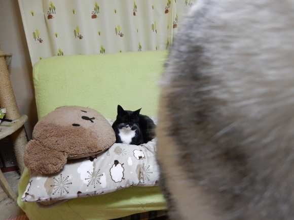 さようならソファーさん_e0355177_19592617.jpg