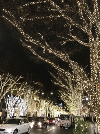 街は色づいております♪_f0218886_14391064.jpg