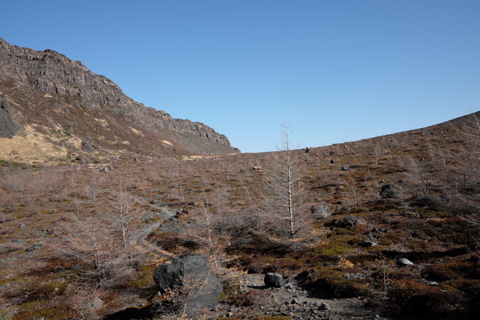 b0339488_19411168.jpg