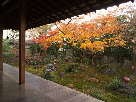 紅葉だより2016~法輪寺～(12/11)_d0026589_22403607.jpg