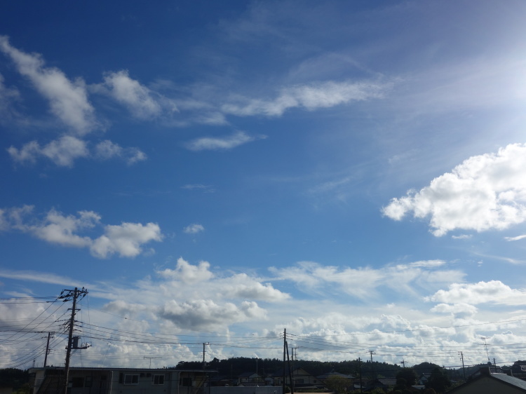 d0021491_23255048.jpg