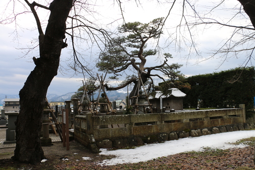 井上　眞一さんを重文本館＆林泉寺をご案内する_c0075701_6473885.jpg