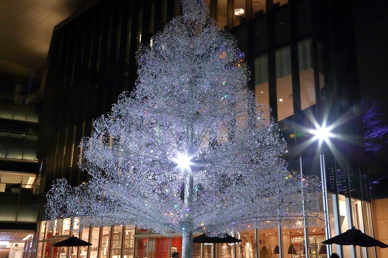 雪じゃありません。4万5千粒のクリスタルガラスが輝くツリーです