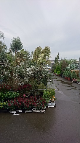 c0152002_18163784.jpg