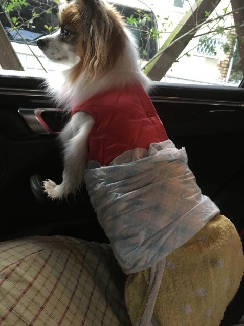 f0034602_09213345.jpeg