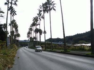 b0040606_20133572.jpg