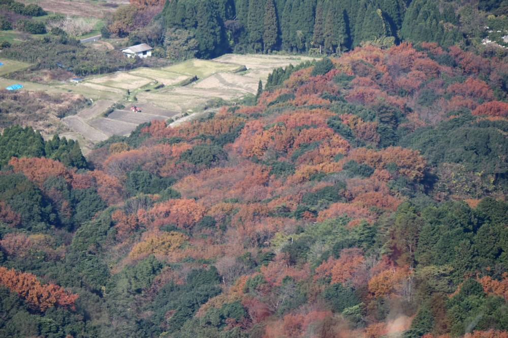 f0212511_11314245.jpg