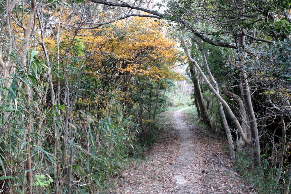 f0212511_11335904.jpg