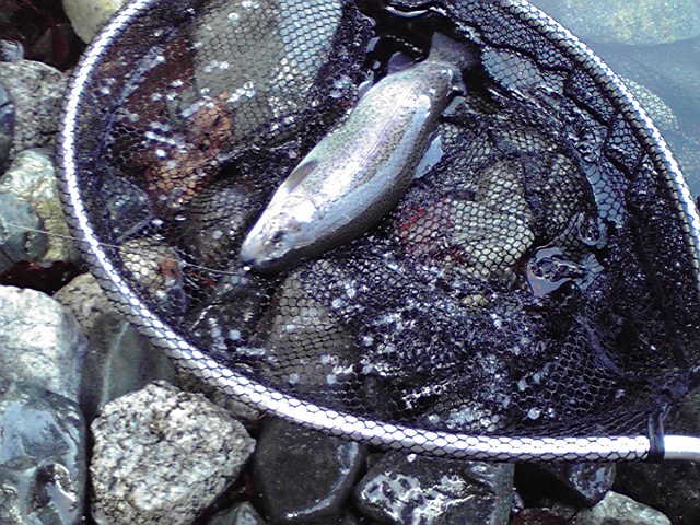 f0079218_13464054.jpg