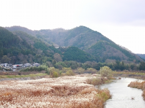 d0336530_21112111.jpg