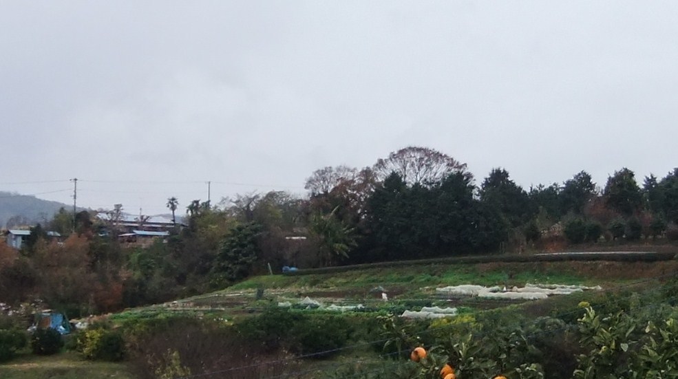 b0137932_12131160.jpg