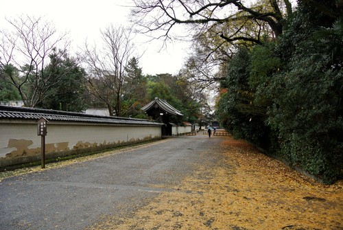 雨の京を歩く。紫式部を歩く。_d0170835_9303643.jpg