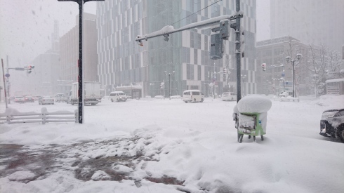 29年ぶりの大雪大騒動_a0359239_07155752.jpg