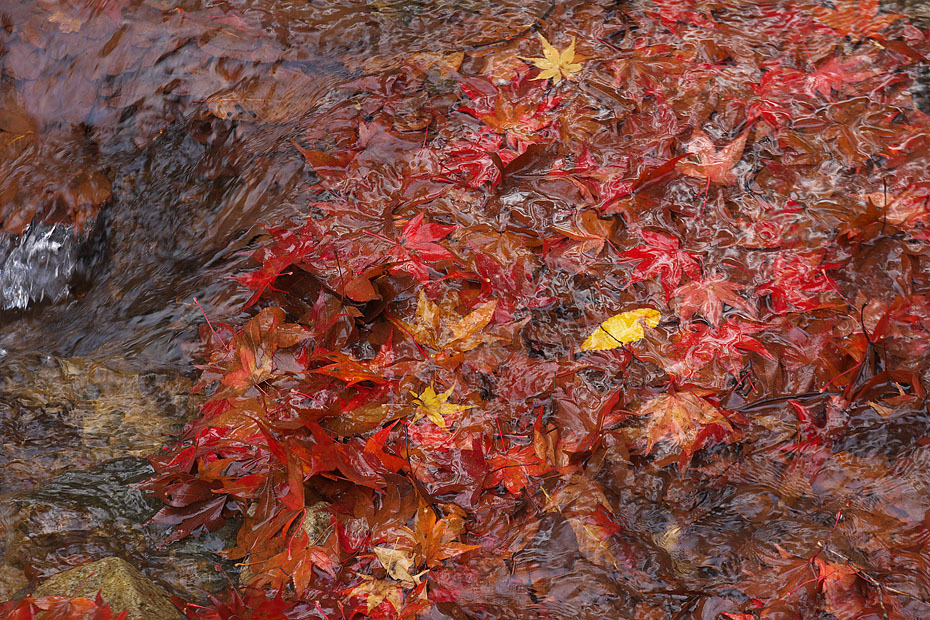 c0067040_23103465.jpg