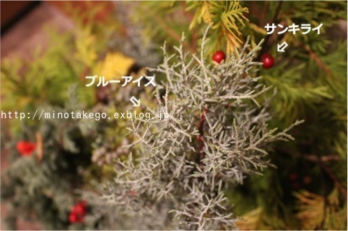小さくクリスマス_e0343145_19552989.jpg