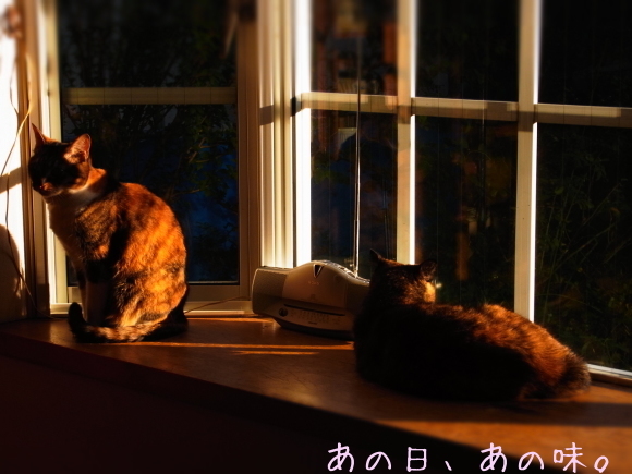 a0305046_09513701.jpg