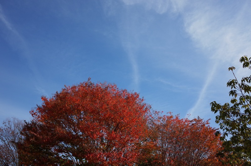 f0169147_22231847.jpg