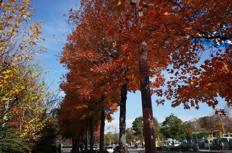 f0169147_22231943.jpg