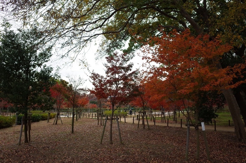 f0169147_22584264.jpg