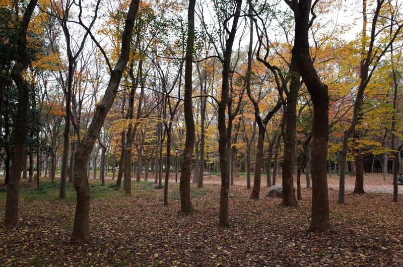 f0169147_22584487.jpg