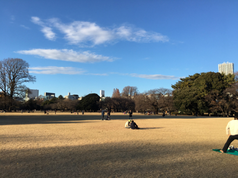 言の葉の庭 の新宿御苑 のびるっこ