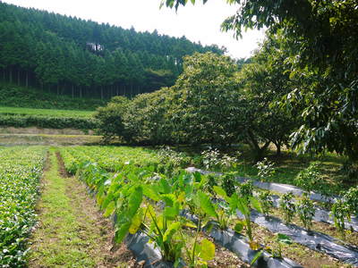 菊池高校に外部講師として講演会をしてきました!_a0254656_1852353.jpg