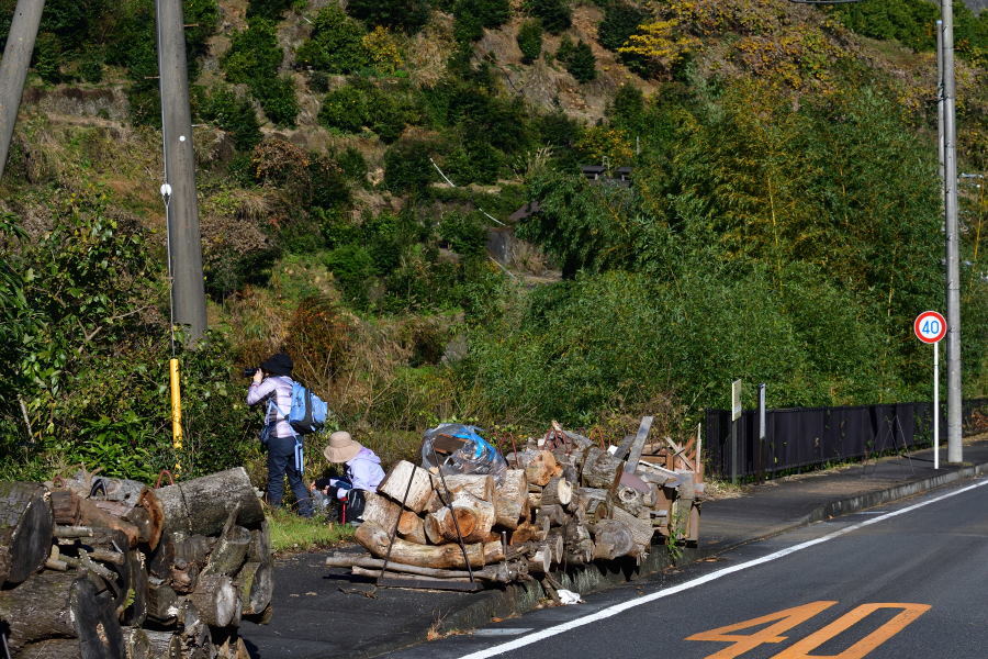 小田原　ウォーキング_b0346568_23155706.jpg